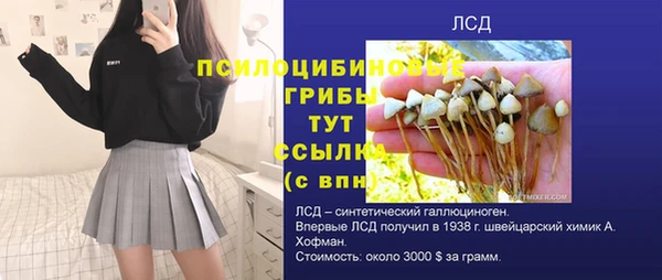 винт Алзамай
