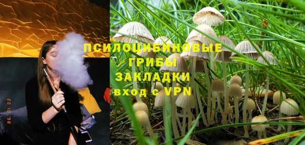 винт Алзамай