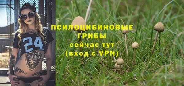 mdpv Гусев