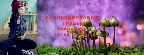 дурь Гусь-Хрустальный