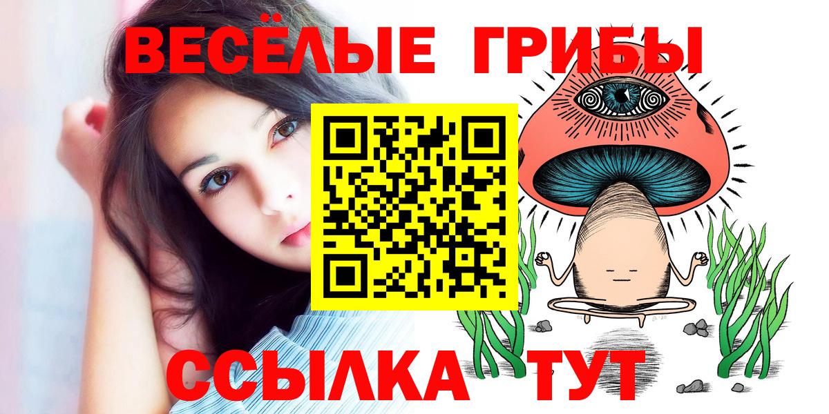 Березники  Псилоцибиновые грибы ЛСД  Вход с VPN  Псилоцибиновые грибы GOLDEN TEACHER 