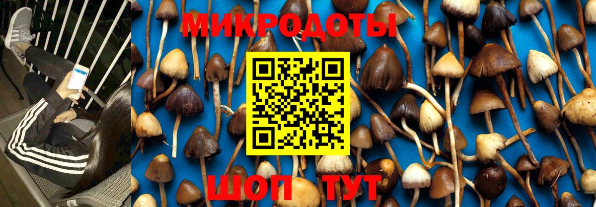 Галлюциногенные грибы ЛСД Березники
